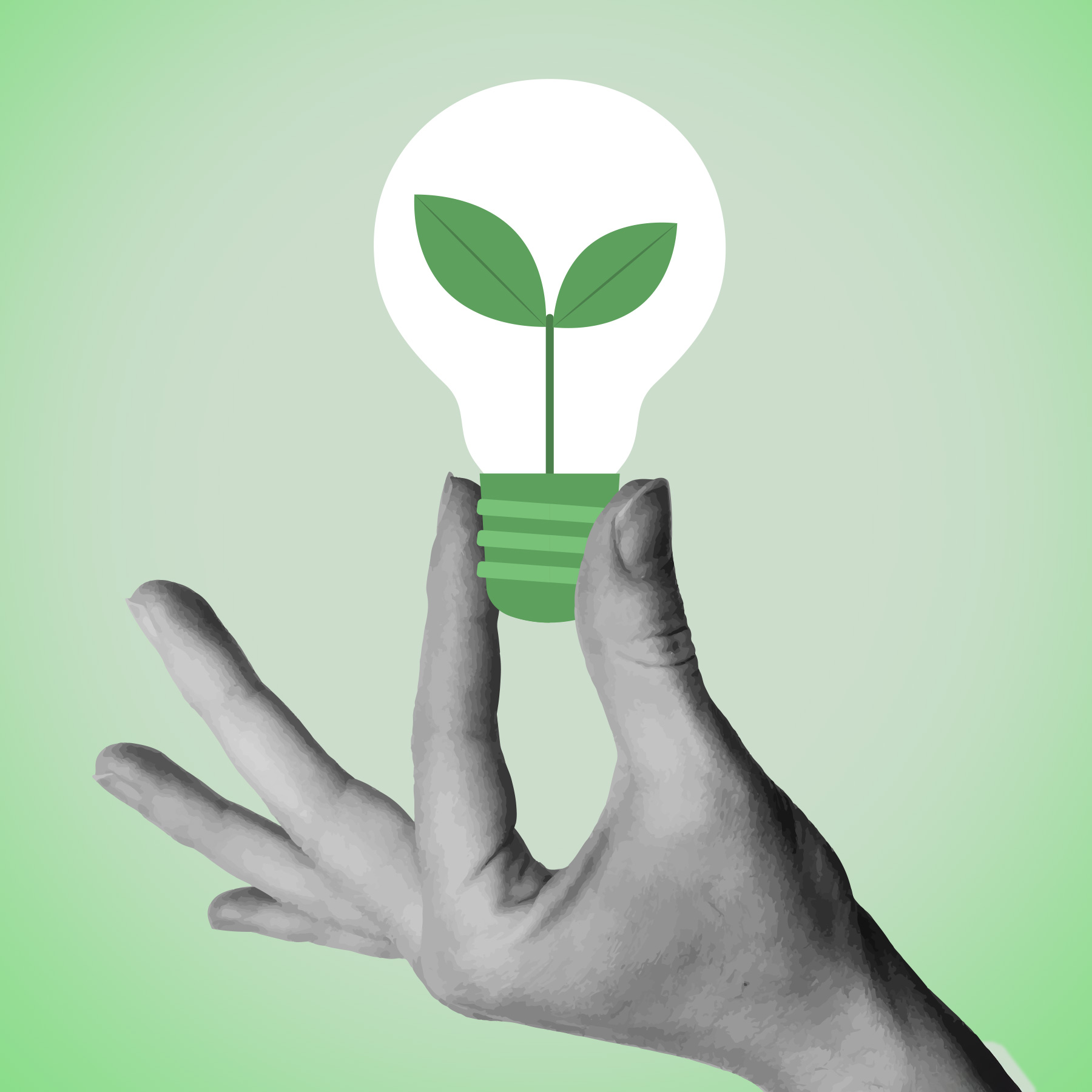 accreditamento fornitori