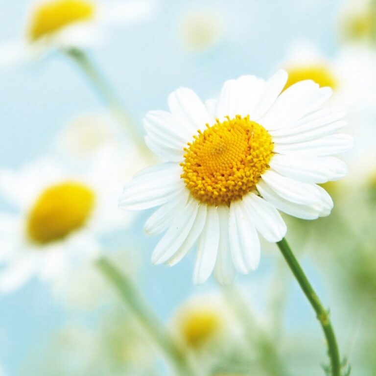 bonifiche ambientali